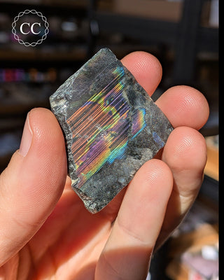 Spectrolite Slice #12