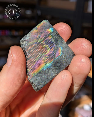 Spectrolite Slice #12