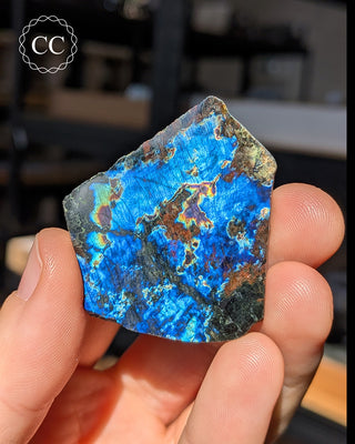 Spectrolite Slice #13