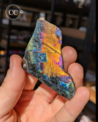 Spectrolite Slice #2