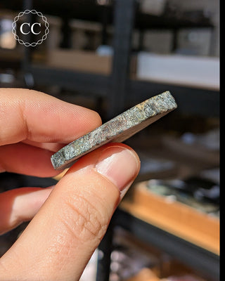 Spectrolite Slice #13
