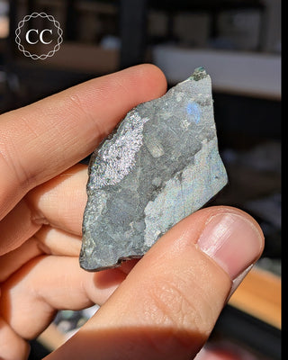 Spectrolite Slice #14