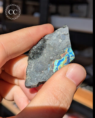 Spectrolite Slice #14