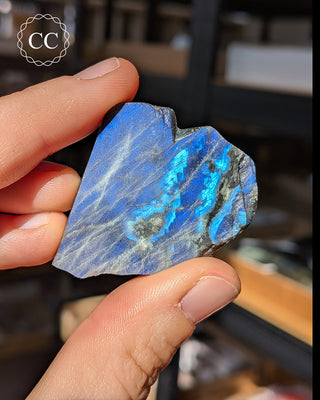 Spectrolite Slice #15