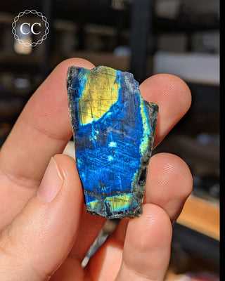 Spectrolite Slice #16
