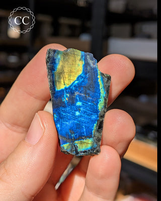 Spectrolite Slice #16
