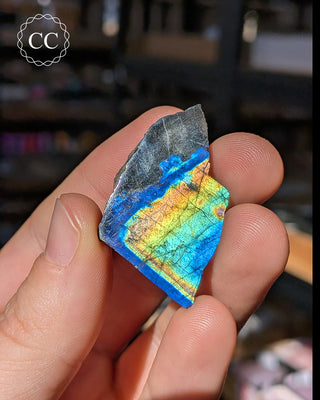 Spectrolite Slice #19