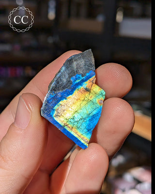 Spectrolite Slice #19