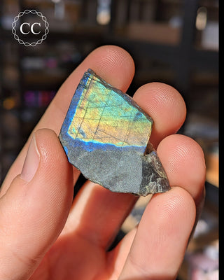 Spectrolite Slice #19