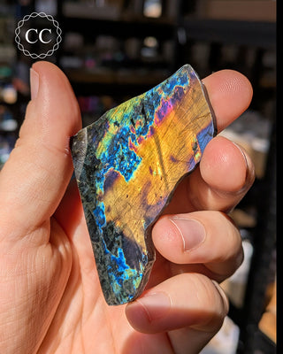 Spectrolite Slice #2