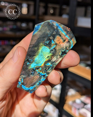 Spectrolite Slice #4