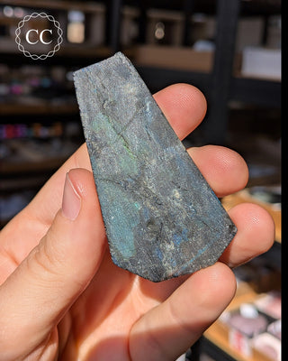 Spectrolite Slice #4