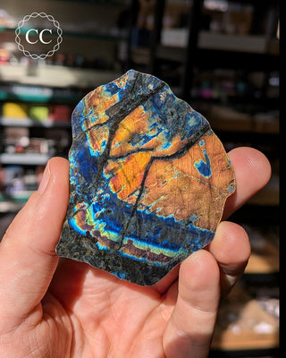 Spectrolite Slice #1