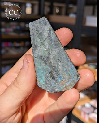 Spectrolite Slice #4