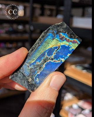 Spectrolite Slice #6
