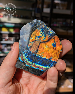 Spectrolite Slice #1