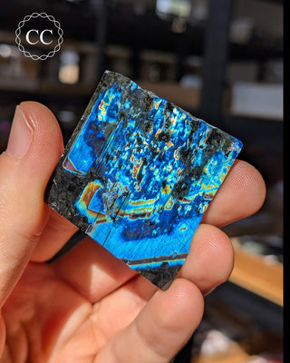 Spectrolite Slice #7