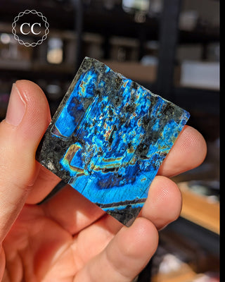 Spectrolite Slice #7