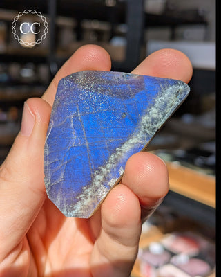 Spectrolite Slice #8