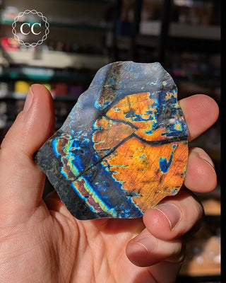 Spectrolite Slice #1