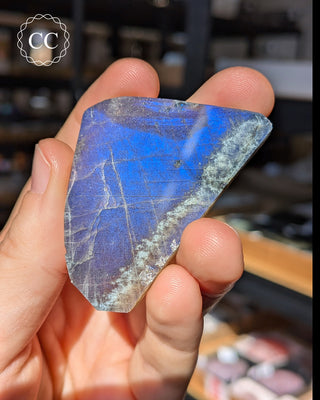 Spectrolite Slice #8