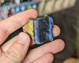 Spectrolite Slice #10