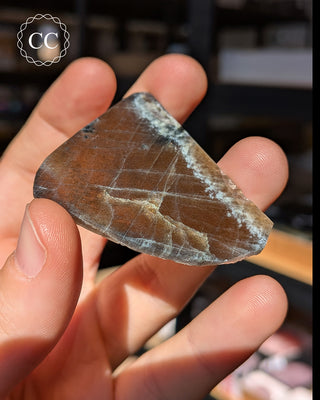 Spectrolite Slice #8