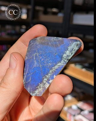 Spectrolite Slice #8