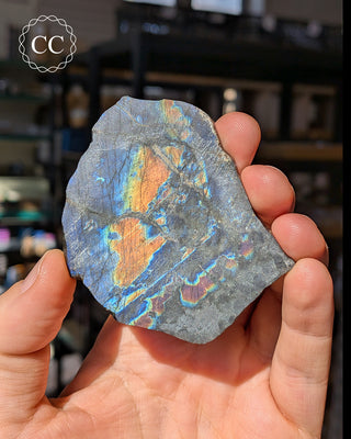 Spectrolite Slice #1