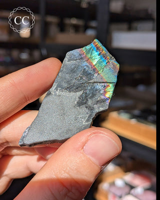 Spectrolite Slice #9