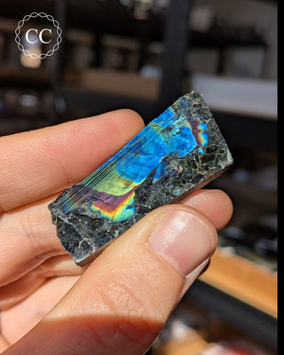 Spectrolite Slice #10