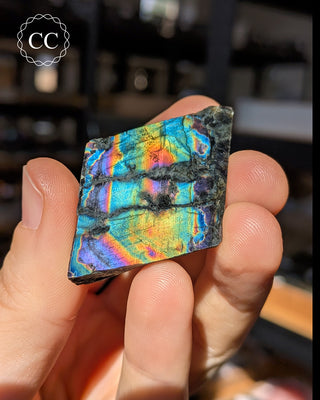 Spectrolite Slice #11