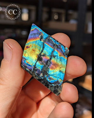 Spectrolite Slice #11