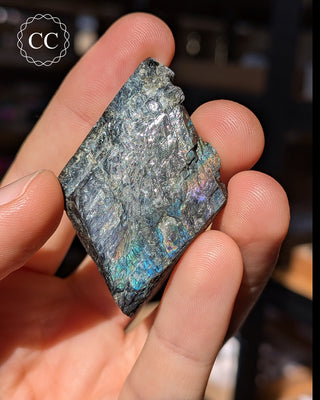 Spectrolite Slice #11