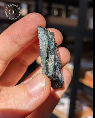 Spectrolite Slice #11