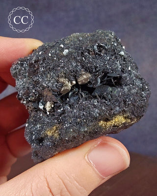 A hand holding a  Specular Hematite specimen from the  location of Elba Island, off the coast of Tuscany in Italy