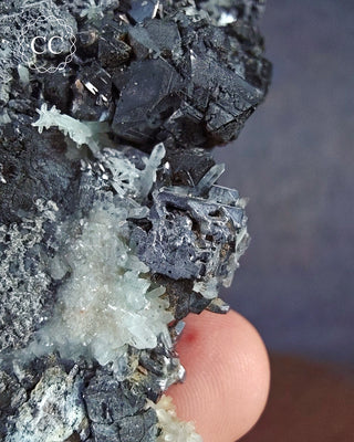 Sphalerite, Galena & Quartz - Bulgaria #7