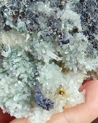 Sphalerite, Galena & Quartz - Bulgaria #7