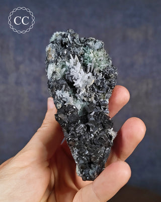 Sphalerite, Galena & Quartz - Bulgaria #7