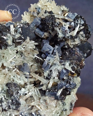 Sphalerite, Galena & Quartz - Bulgaria #14