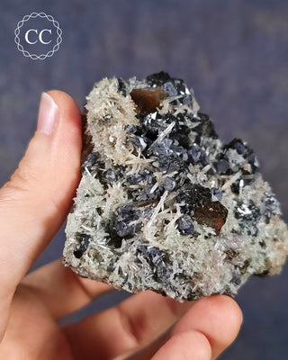 Sphalerite, Galena & Quartz - Bulgaria #14