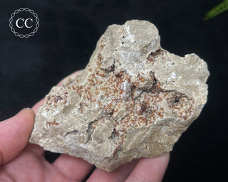 Sphalerite & Calcite - Ohio #1