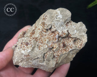 Sphalerite & Calcite - Ohio #1
