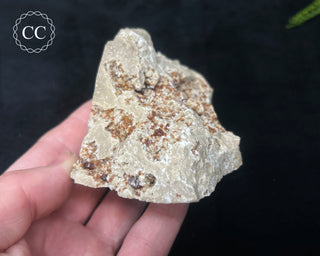 Sphalerite & Calcite - Ohio #1