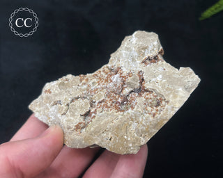 Sphalerite & Calcite - Ohio #1