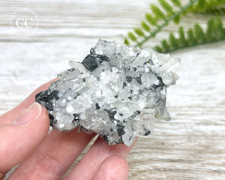 Sphalerite in Quartz Specimen #1