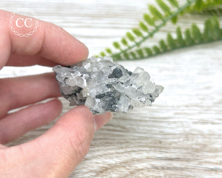 Sphalerite in Quartz Specimen #1