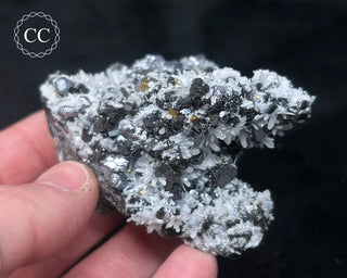 Sphalerite with Galena & Quartz - Bulgaria #8