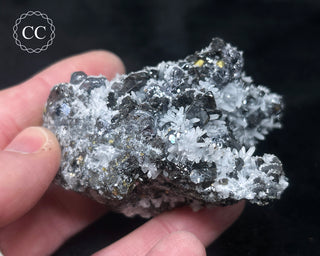 Sphalerite with Galena & Quartz - Bulgaria #8