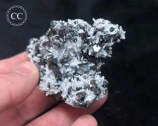 Sphalerite with Galena & Quartz - Bulgaria #8